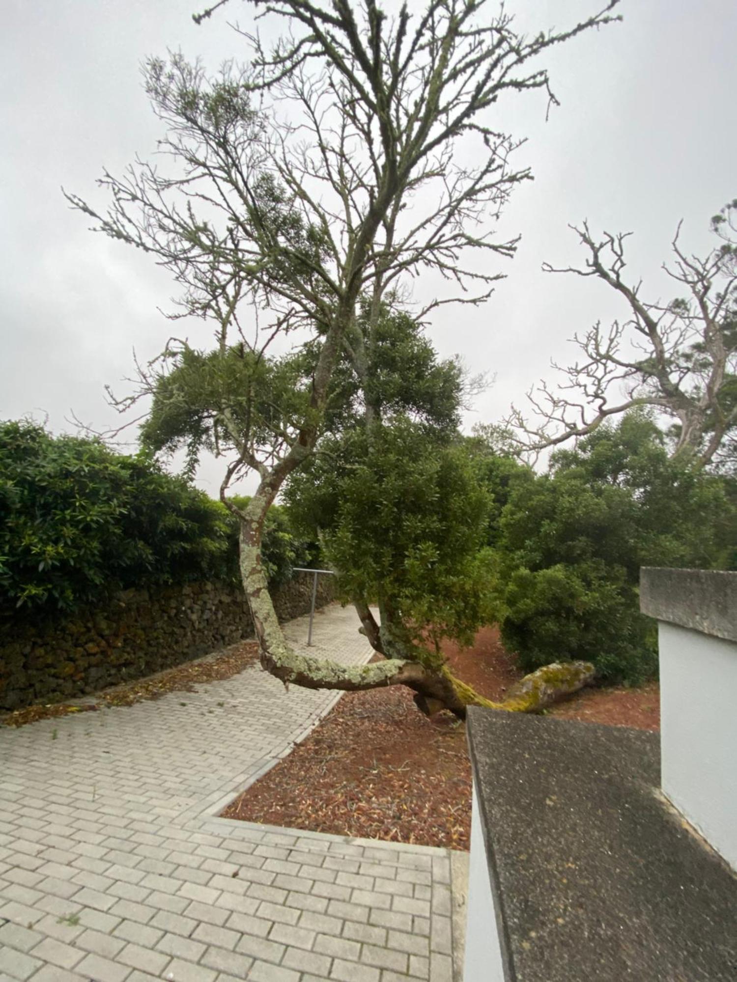Casa Azul Terceira Island Azores Fonte do Bustardo Εξωτερικό φωτογραφία